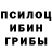 Псилоцибиновые грибы Psilocybine cubensis snezhana poznyak