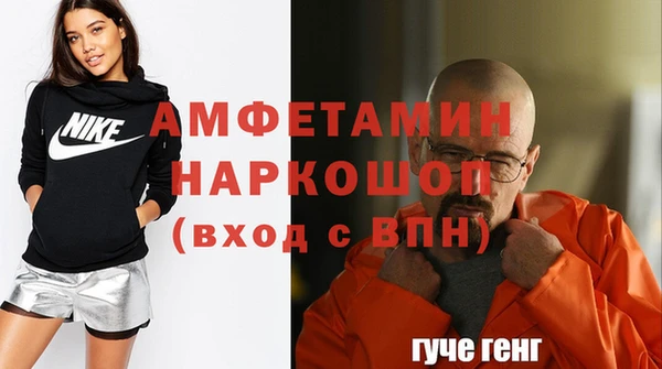 гидра Алексеевка