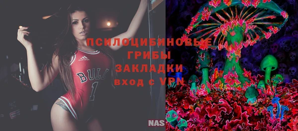 прущие грибы Алзамай