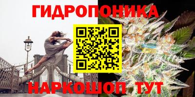 ешки Будённовск