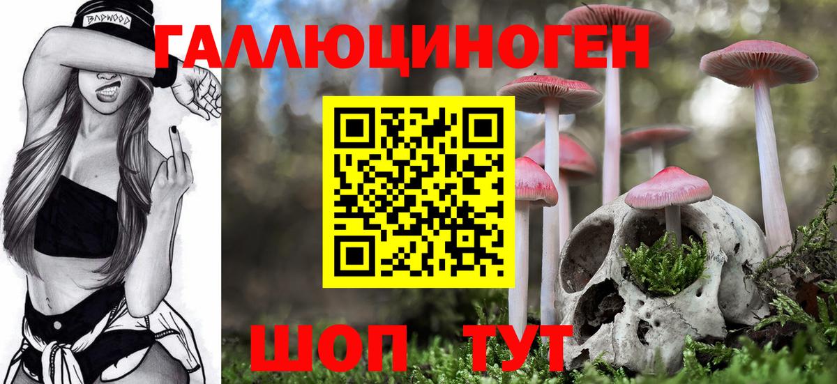 Ижевск  Галлюциногенные грибы Cubensis  Вход с VPN  Псилоцибиновые грибы мухоморы 